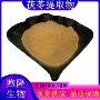 浓缩浸膏茯苓提取物