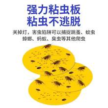 ճxTճxճճωωճßմ