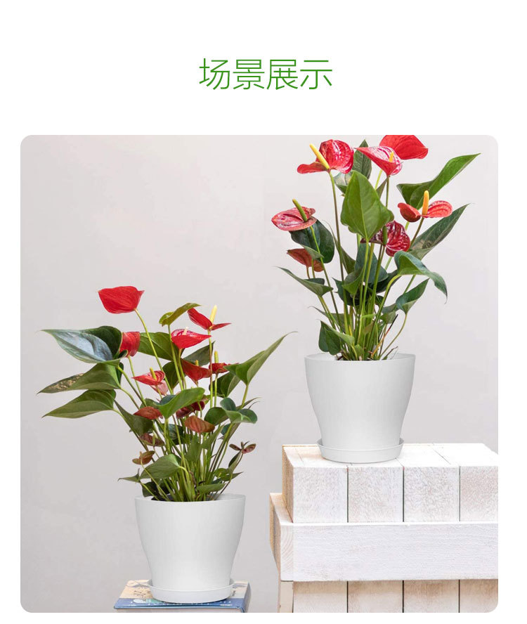 C13详情_07.jpg