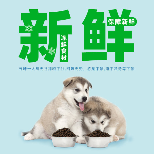 Heart of Heart Grain-Free Dog Food for Young Adult Dogs Teddy Golden Retriever Small and Medium-sized Dogs Full Price Pet Food Factory Wholesale Dropshipping