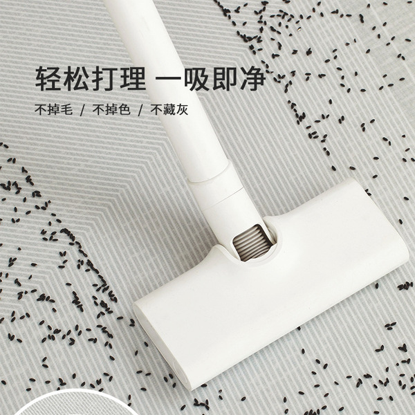 Disposable erasable waterproof carpet for living room