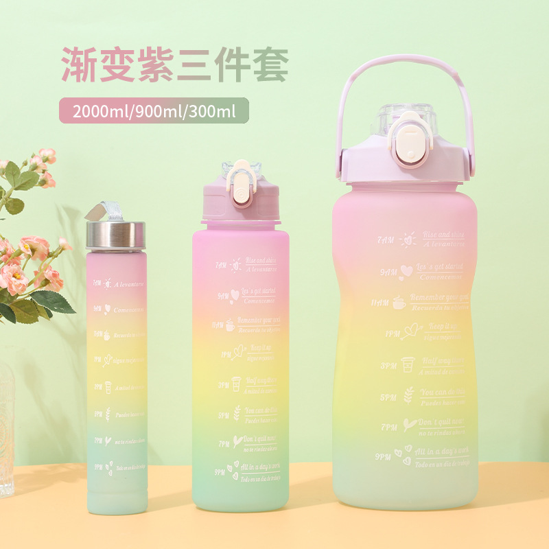 Set de 3 Botellas Deportivas de Plástico Degradado, Gran Capacidad con Pajita - Vasos Esmerilados para Amazon al por Mayor image 9