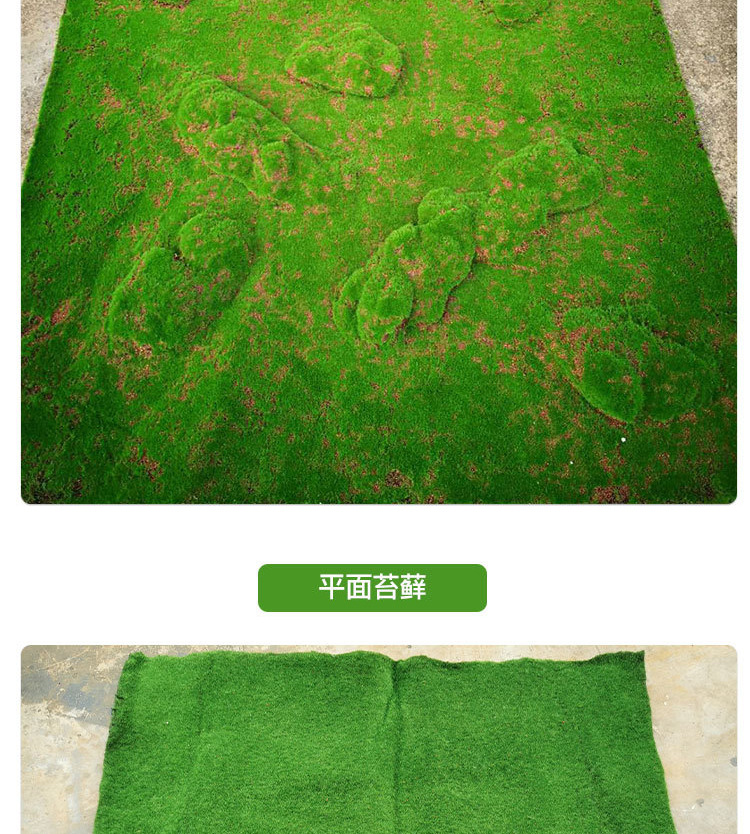 苔藓草皮详情_05.jpg