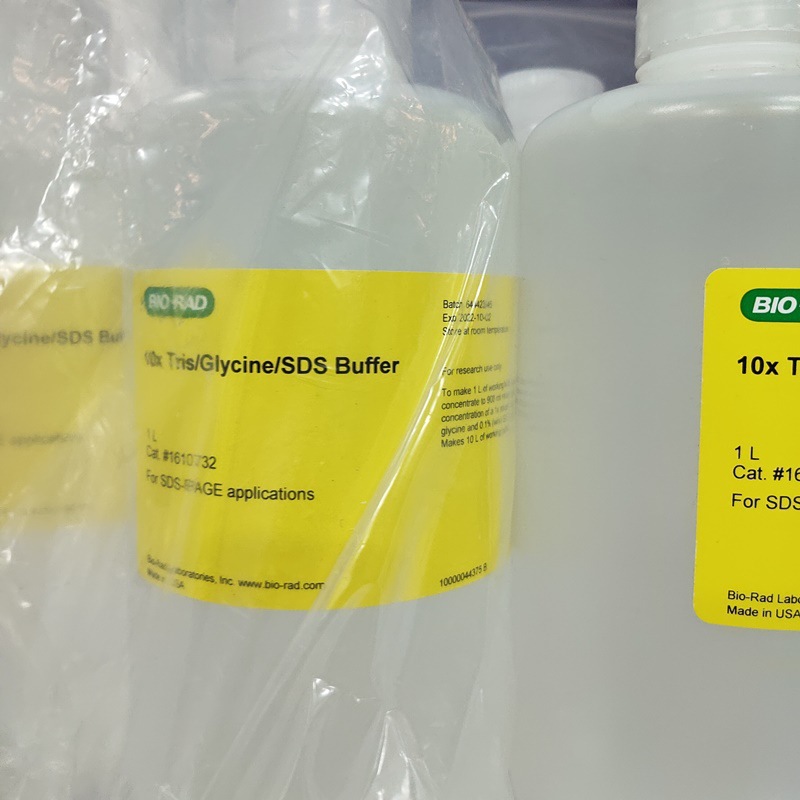 1610732伯乐10x预混合电泳缓冲液Bio-Rad 10x Tris/Glycine/SDS