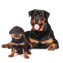 �_���{��Ȯ�_���{Ȯ���N���w��ϵ��ϵ���^�_���{����Ȯ��Ȯ�o�lȮ