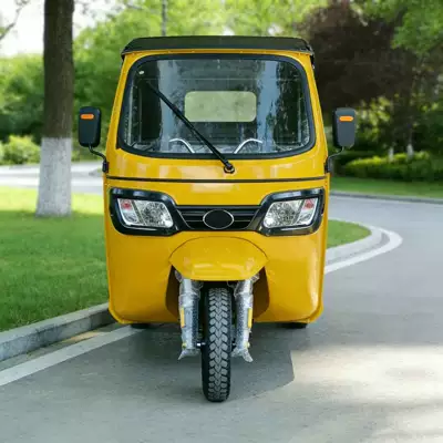 Fuel-powered passenger tricycle, Sərnişin üçtəkərli motosikllar
