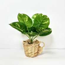 ins�L���B�o���坍�����~�X�ݾG�}��Ƥ�m�����@ �Ҿ��bGֲ