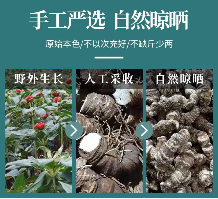 Chong Lou Powder (Paris polyphylla) — Yunnan Dian Chong Lou Dried Herb Powder, 500g key features