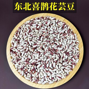 2023��|��ϲ�o��ܿ���������ϼt���������ּZ����s�Z���