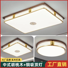 吸顶灯;风扇灯;成套灯具