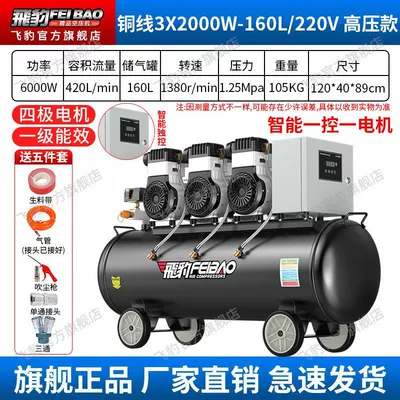 Air Pump 220v Household Oil-free | Hava kompressorları - coarse-copper-wire-3x2000w-160l-single-phase-125-voltage