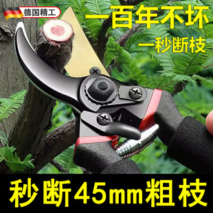 Manufacturer Wholesale Gardening Fruit Branch Scissors Multifunctional Branch Scissors Garden Tool Scissors Non-Slip Labor-Saving Manual Pruning Shears