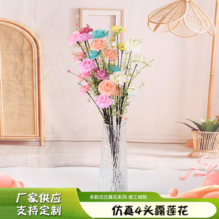 �羳�������^¶ɏ�������¾Gֲ�ٻ����JȔ���h��֦�w����L�ٻ�c