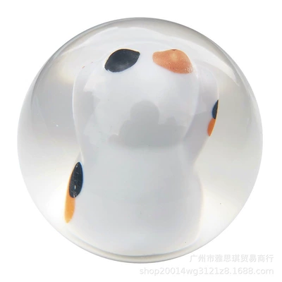 Cab and accessories lucky cat Lucky Cat gear