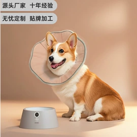 狗狗牵引;狗狗服装;宠物项圈