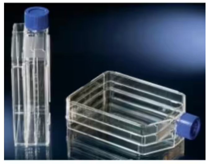 赛默飞NUNC 132925 三层细胞培养瓶 瓶盖-过滤 条形码