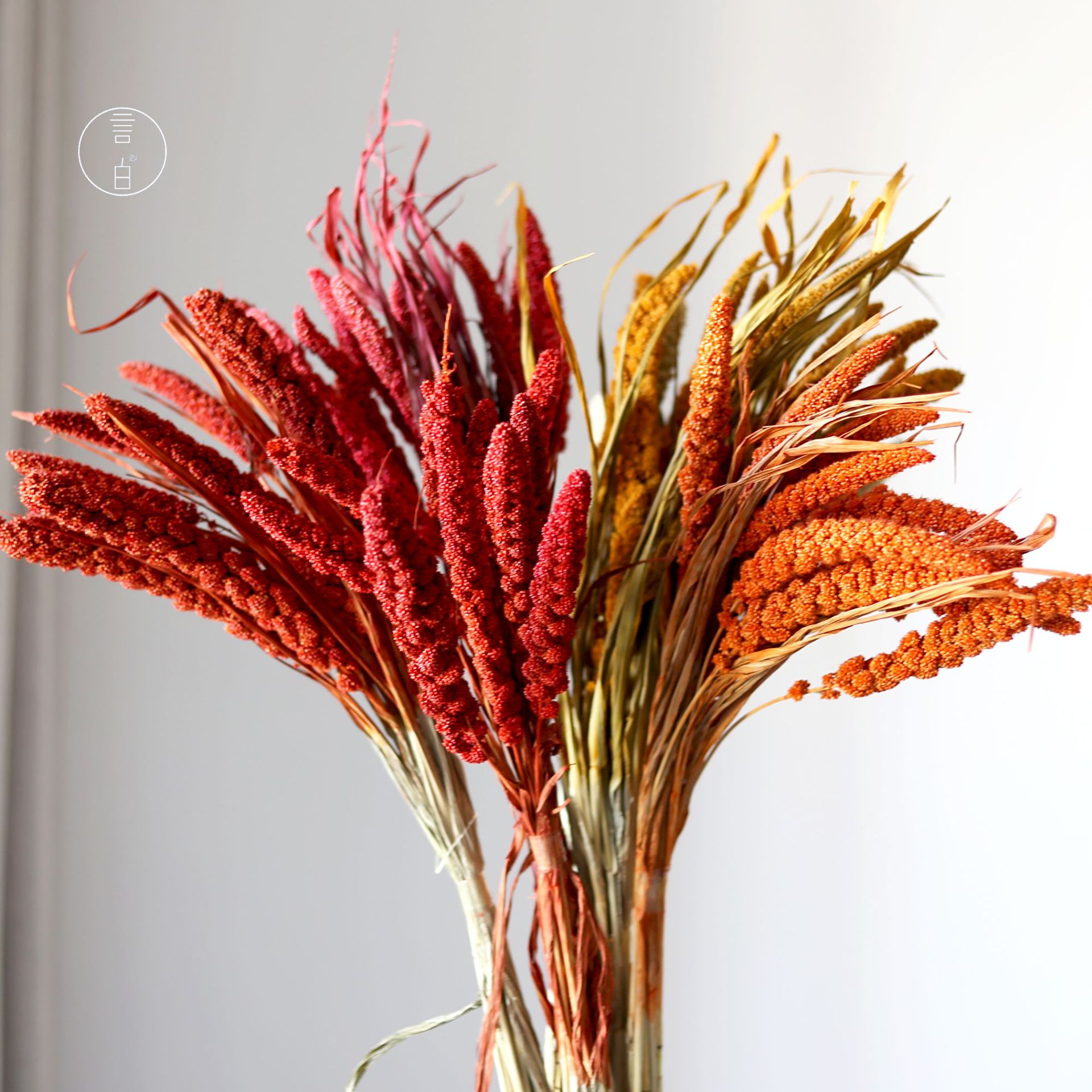Wholesale of Dried Grain and Millet Flowers Wholesale of Sorghum, Wheat and Millet Real Flowers, Rich Bouquets and Home Furnishings Manufacturers