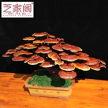 灵芝工艺盆景主营各类灵芝灵芝孢子粉灵芝片灵芝盆景厂家直销芝艺