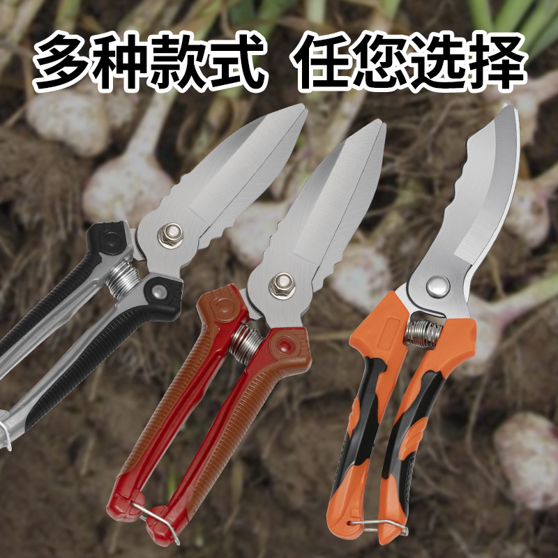 ニンニクはさみ、農業用はさみ、炭素鋼ニンニクはさみ、工場卸売、玉ねぎニンニク苗根大頭はさみ、農業用|undefined