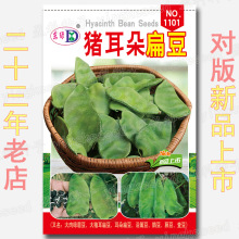 �i����ⶹ�N�� �s10������Gü�� ���i���ػh�������o���ٶ��鶹