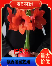 ��피t�N���M���ذ갢������피t���Ԏ�ѿ�����҃��̨�Gֲ����B