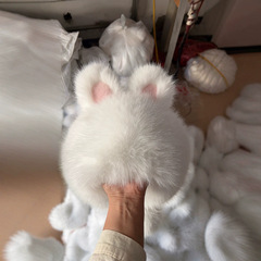 高級感ウサギ耳2025新型かわいい冬の新型ファッションぬいぐるみ帽子二重かわいい防寒耳保護