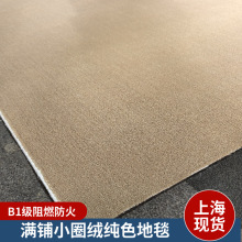 满铺圈绒地毯舞台走秀拍照背景地毯B1级阻燃防火武术馆台球厅现货