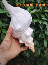 ��Ȼ���� �������� ������������ݷ�����ݴ�̖�ղ��^�p�[��