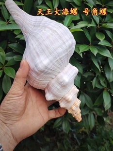 ��Ȼ���� �������� ������������ݷ�����ݴ�̖�ղ��^�p�[��