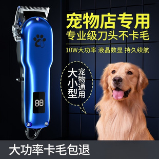 �������ӌ��I��ë��������Ƽ���ë��ë����������Ȯ�����