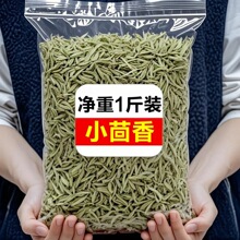 ���o�������؛С�������r�Օ�o��Ѭ�{ζ���u��С�����w������