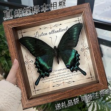 真蝴蝶标本相框 欧式装饰画DIY复古相框摆台成人礼学生版生日礼物