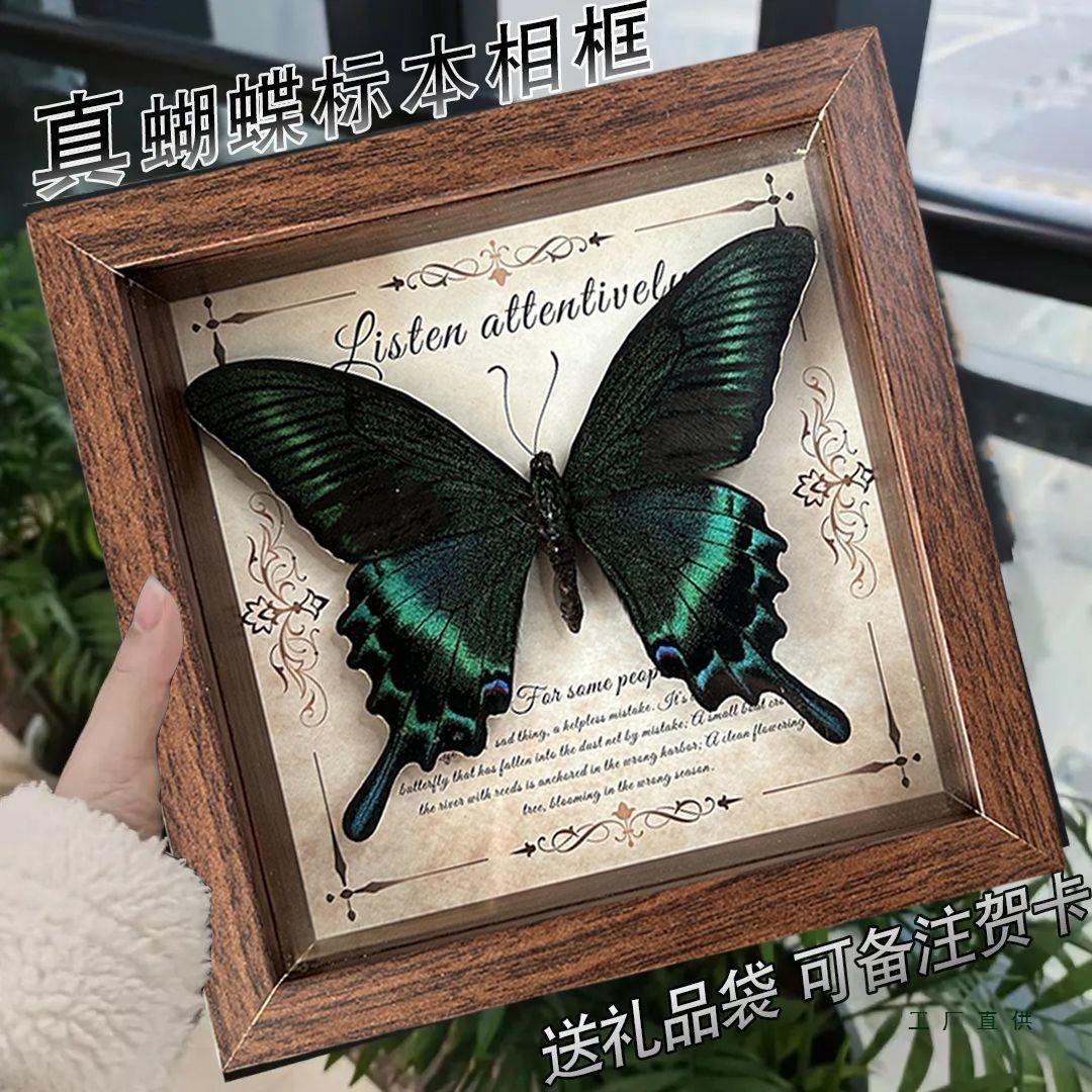 真蝴蝶标本相框 欧式装饰画DIY复古相框摆台成人礼学生版生日礼物