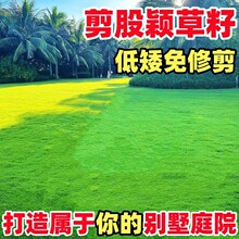 ���ɷf�������޼�������ƺ�����ļ���������ߠ��������Ƥ�N����