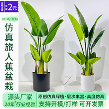 仿真旅人蕉 仿真树10叶装饰叶绿植大盆栽客厅植物美人蕉仿真盆栽
