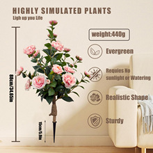 ��Ϫ �羳���R�d�������Gֲ����ɽ�軨�ز��ͥԺ���@�b�Ʒ�[