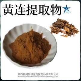 现货供应黄连提取物 50:1规格 黄连粉 川连根茎浓缩粉 水溶 包邮