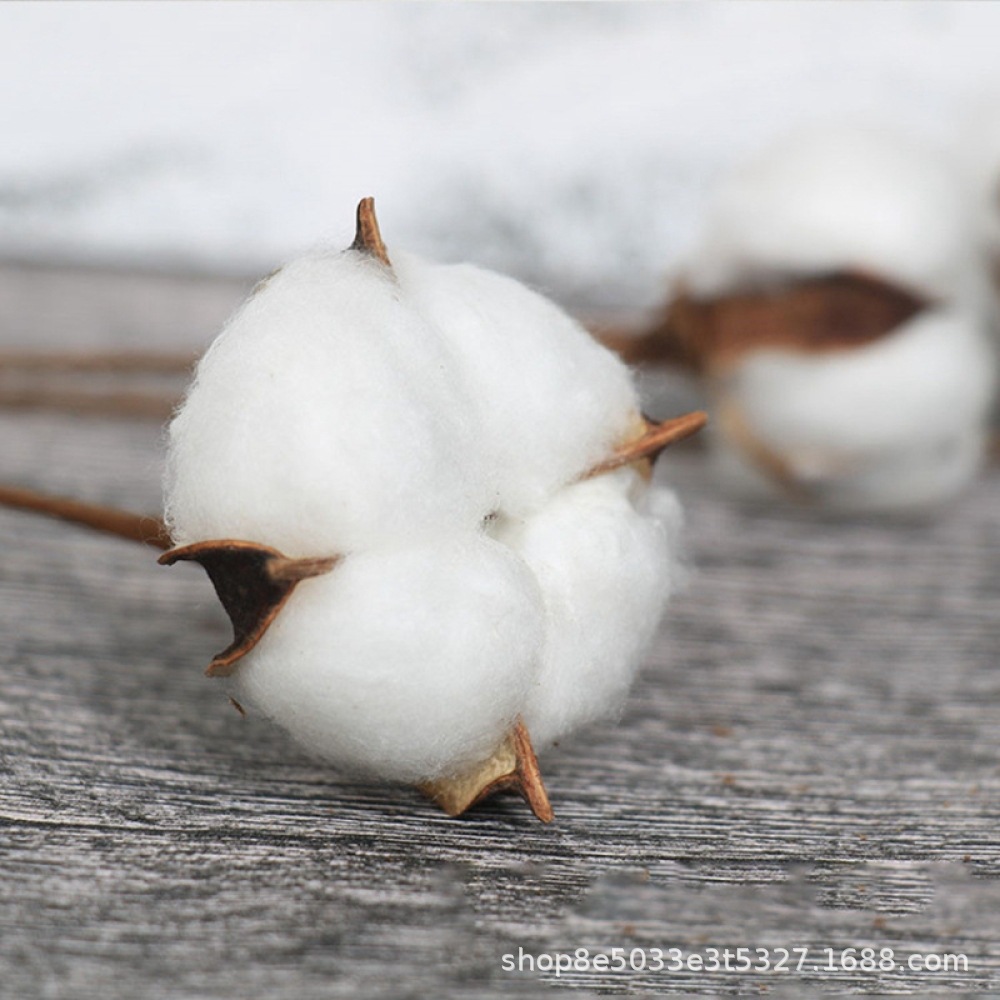 Venta al por mayor flor artificial algodón natural flor seca boda decoración del hogar foto decoración flor 10 solo algodón de madera