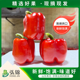 �t�ʽ� ���r��ʼt�ʽ������Լ�ʳ�߲ˮ����Fժ΢�� ˮ���t�ʽ�