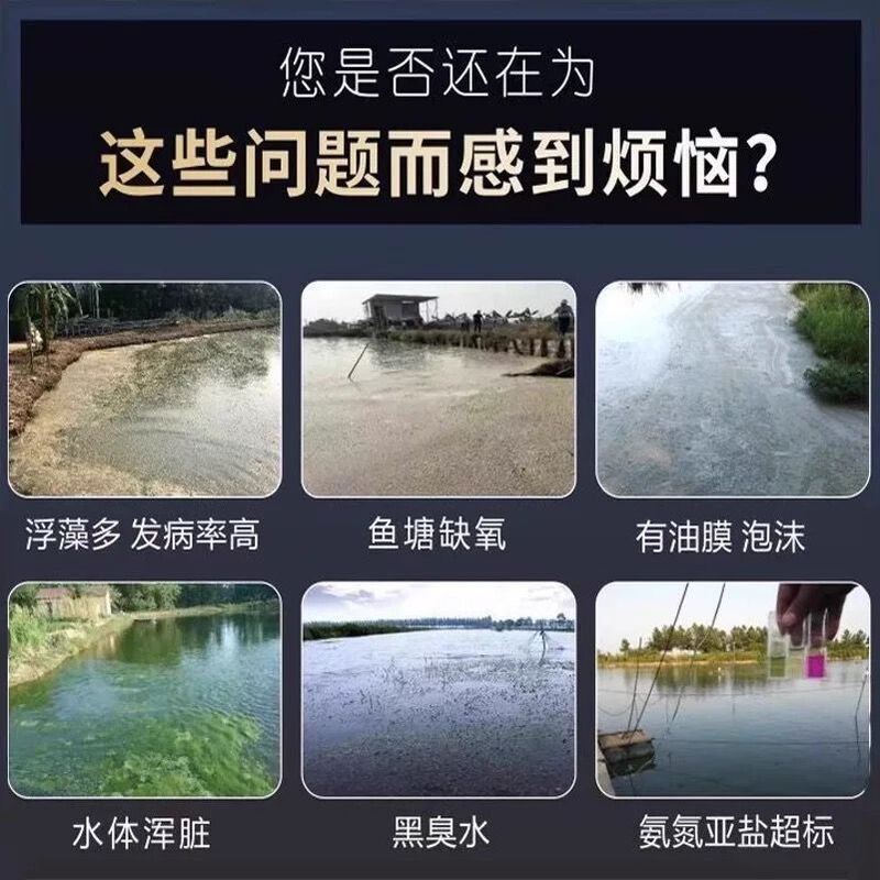 魚のいる池の水が黒くなる浄水器、池の臭いを除去する浄水器、漁業養殖用品、消毒・殺菌薬|undefined