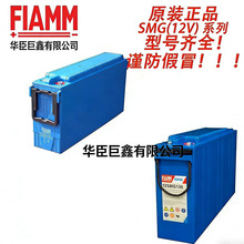 FLAMM�Ƿ�SMGϵ��12SMG100/12SMG130������upsӦ����Դ
