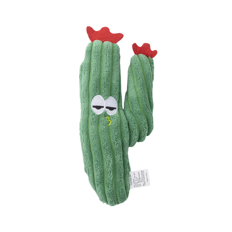짙은 녹색 선인장