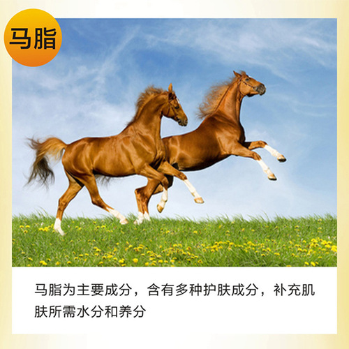 Qin Duo Horse Oil Foot Cream Horse Oil Hand Cream Guangzhou Cosmetics Wholesale Anti-Crack Cream Moisturizing Horse Oil Hand Cream