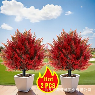 �����̰صز�Gֲ���~�Ҿ��b�������ֲ�ﱬ��R�d�羳�N��