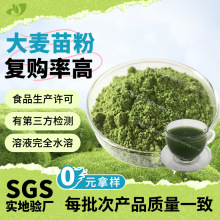 源头工厂大麦苗提取物散装现货大麦若叶粉食品级速溶大麦苗粉包邮