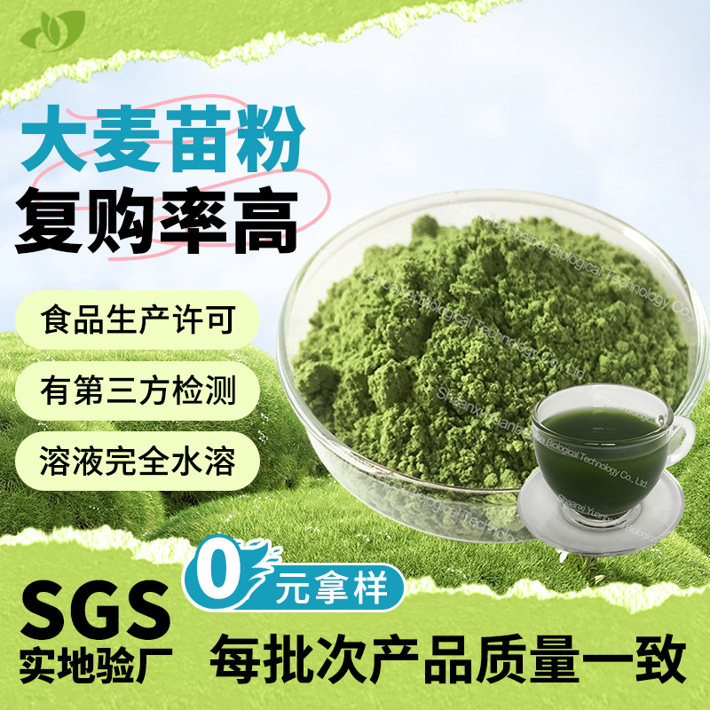 源头工厂大麦苗提取物散装现货大麦若叶粉食品级速溶大麦苗粉包邮
