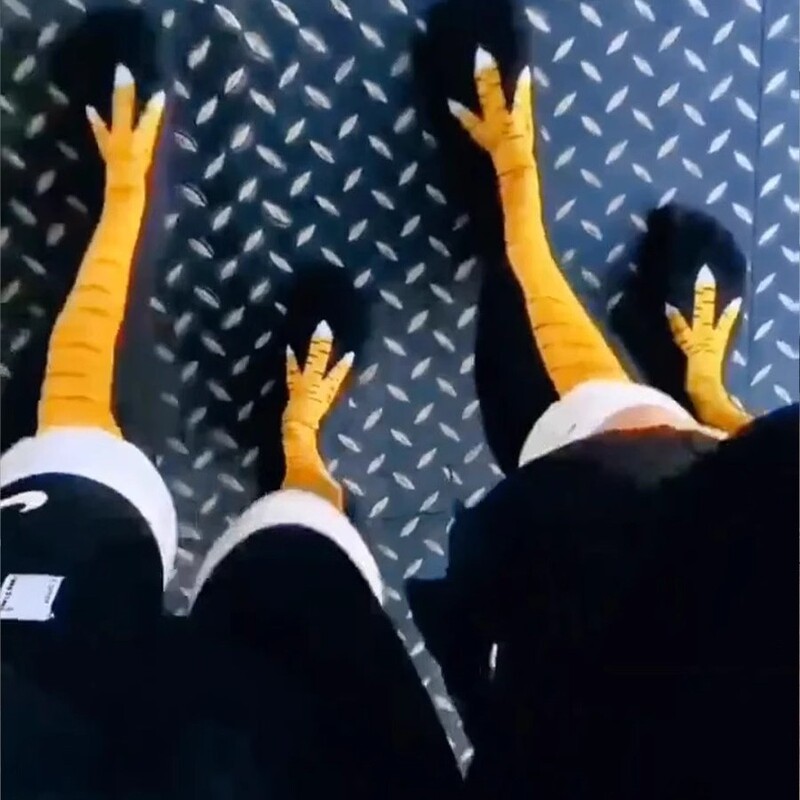 Net Celebrous Funny Chicken Flaw Fitness Socks Women's Shake Tone Same Leg Socks Funny Chicken Foot Socks Men's Couple Yoga Over Knee