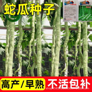 �߹ϷN���߲˷N���߶��������ļ����N�����^�pʳ���߶��ǷN�ѿ���