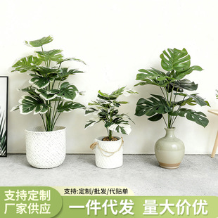 ����Gֲ�߼�������ֲ��쾰�͏d�����b���������������ֲ��