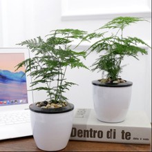 ���Iһ����һ�衿����û���B�lؔ��G�}�҃ȾGֲ������������